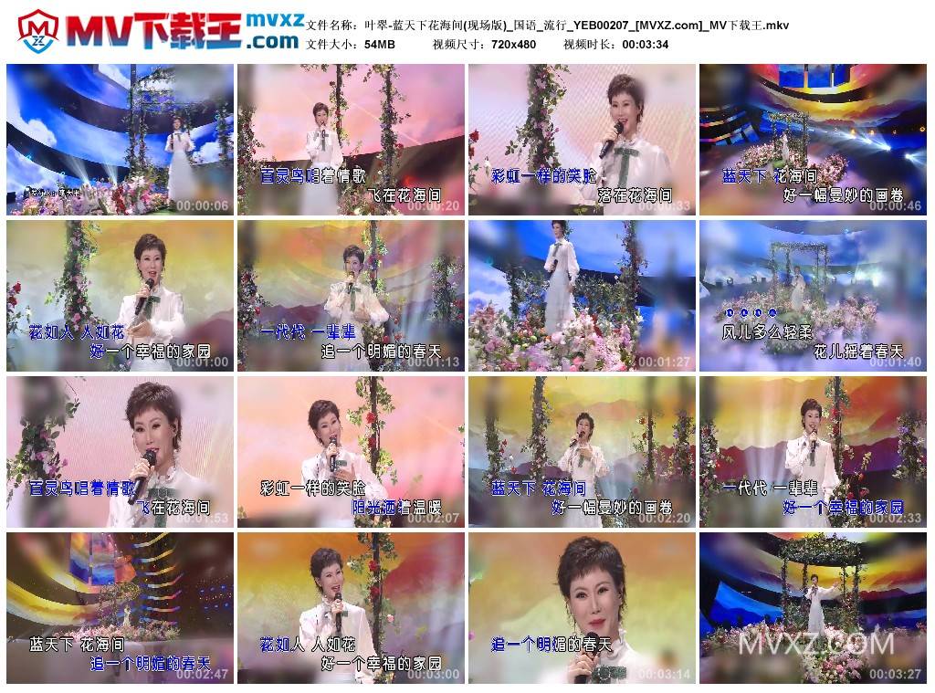 叶翠-蓝天下花海间(现场版)_国语_流行_YEB00207